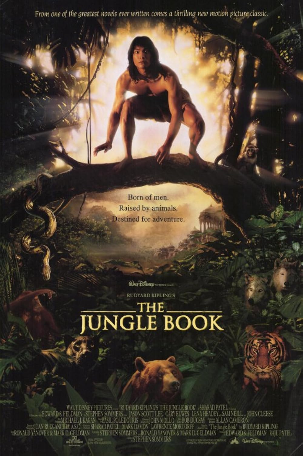 bob jungles 0010