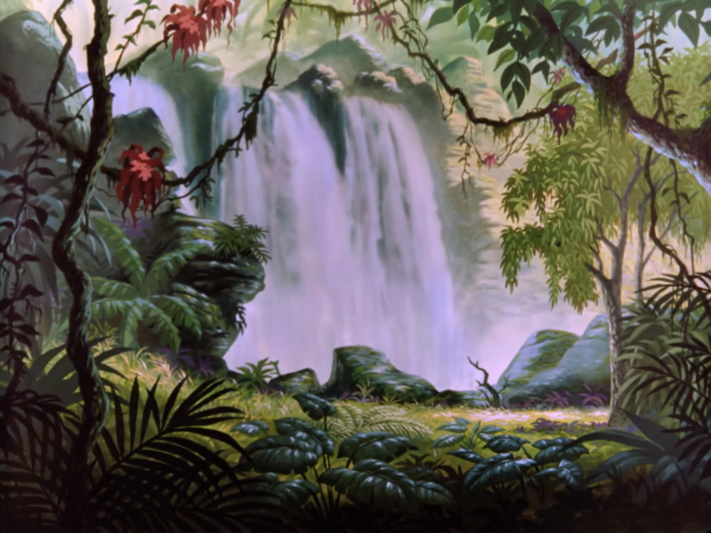 bob jungles 0024