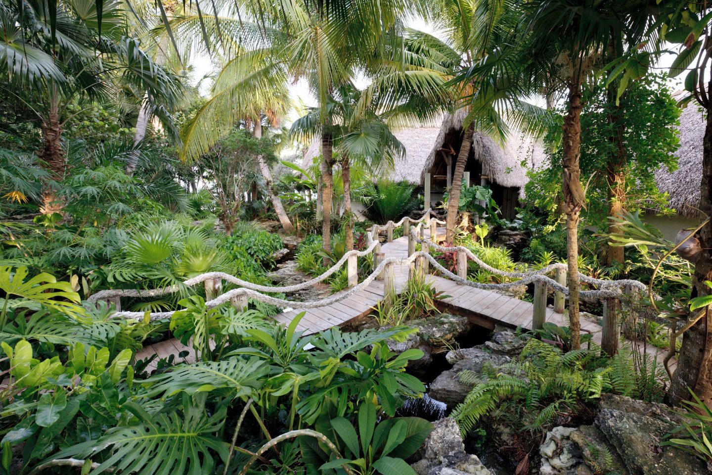bob jungles 0029
