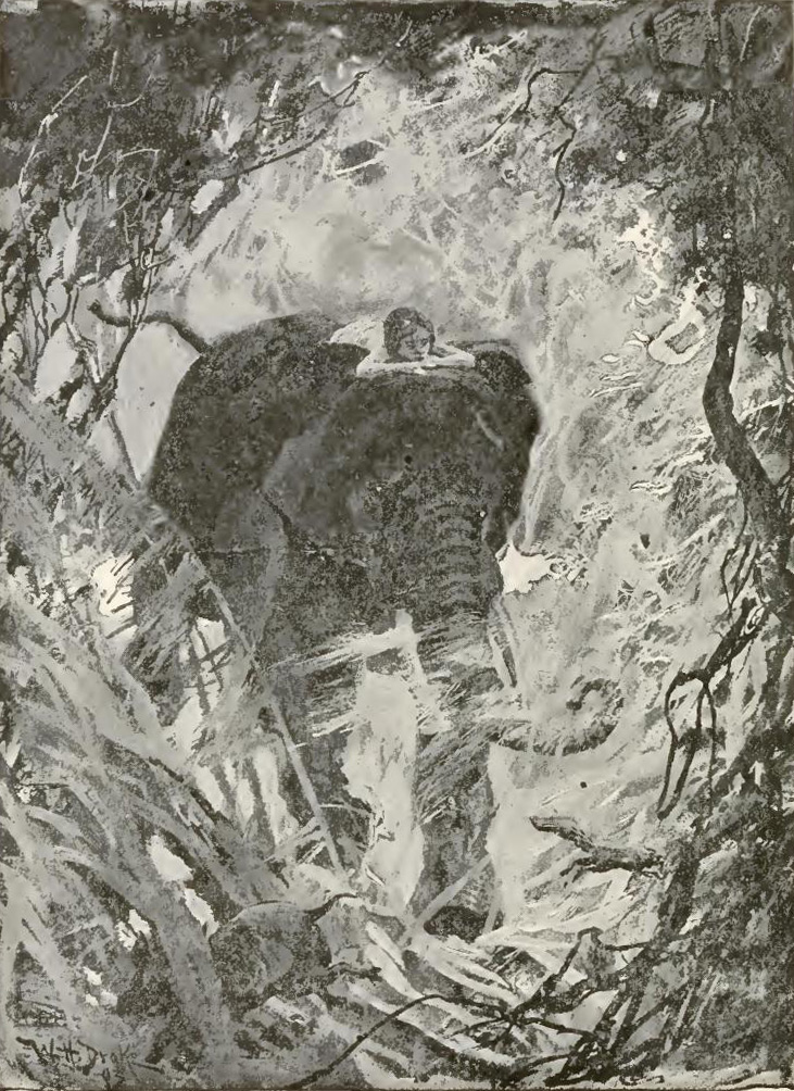 bob jungles 0045