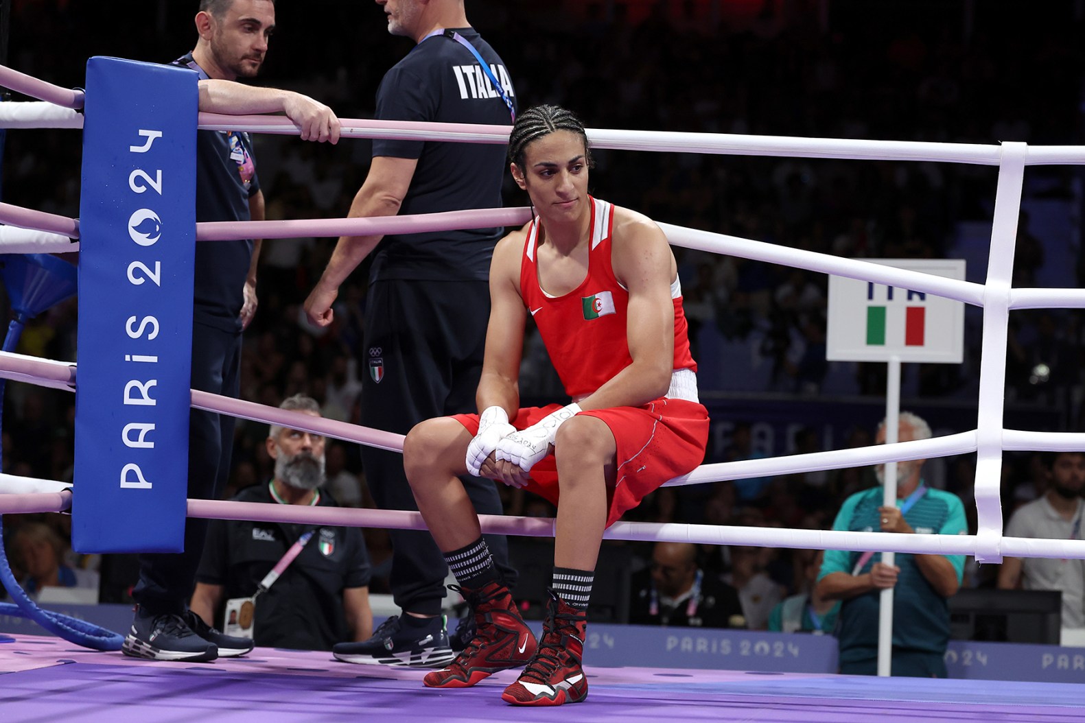 boxer image 0018