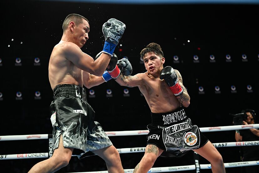 boxer image 0019