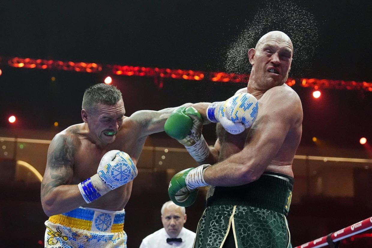boxer image 0022