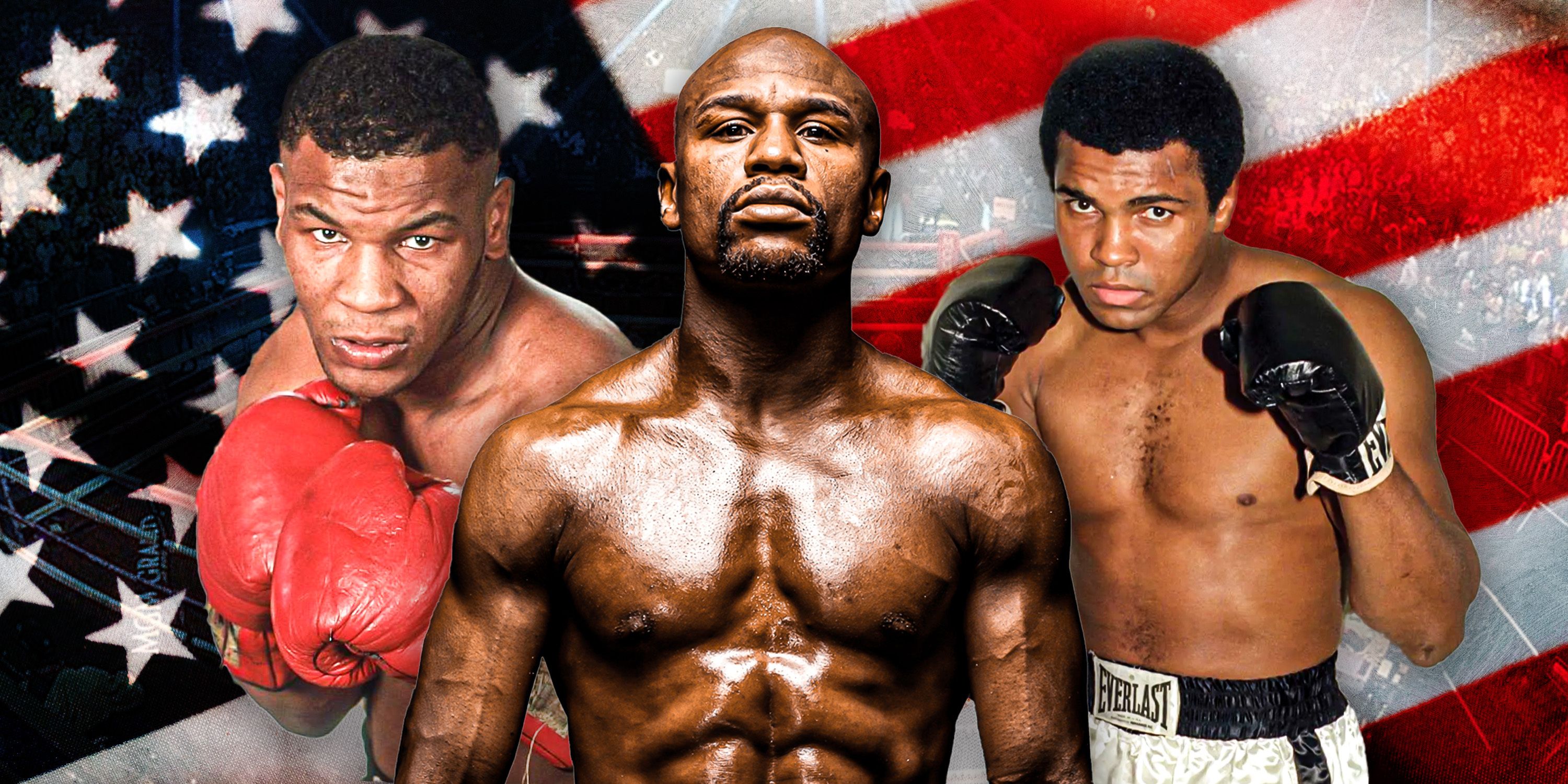 boxer image 0024