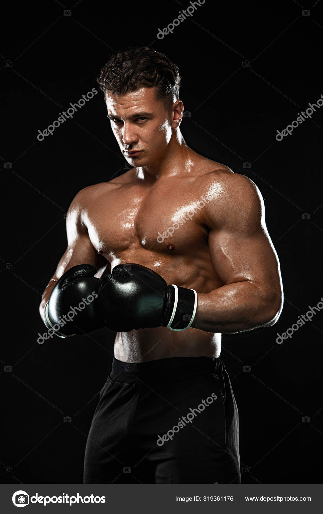 boxer image 0030