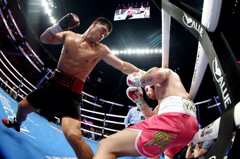 boxer image 0039