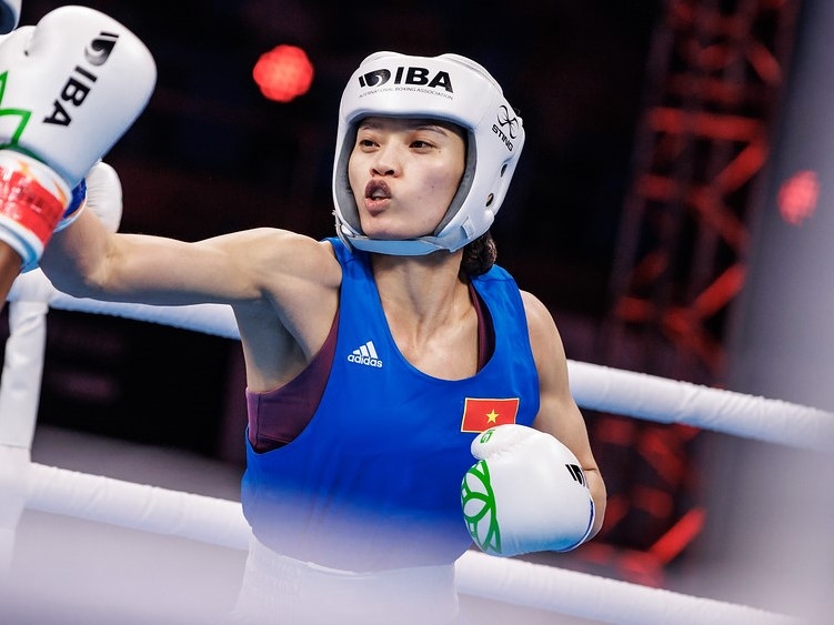 boxer image 0040