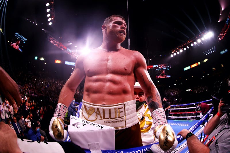boxer image 0049