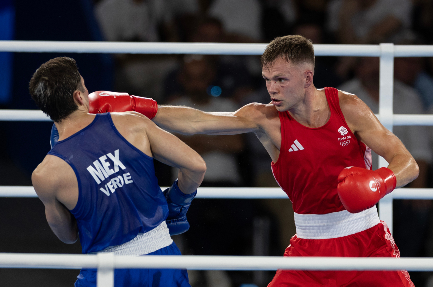 boxer lewis 0017