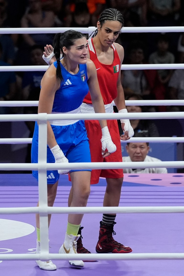 boxer pics