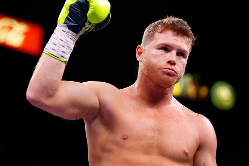 boxing canelo alvarez wallpaper 0047