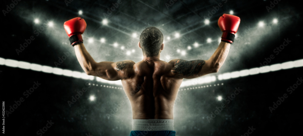 boxing collage 0023