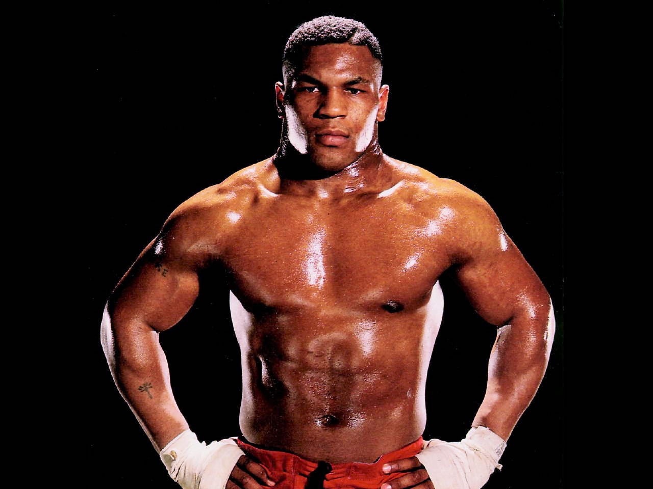 boxing knockouts