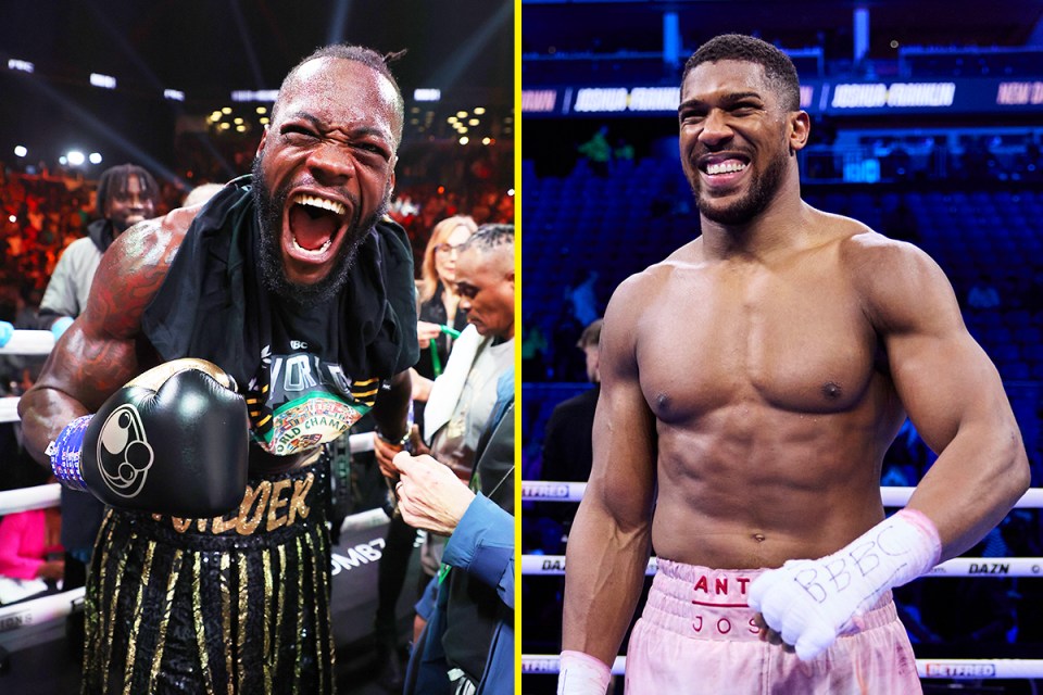 boxing KO percentages