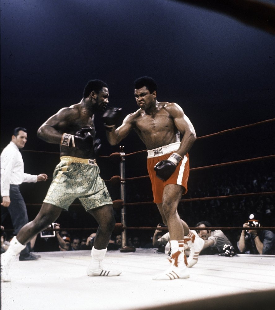 boxing legend portraits