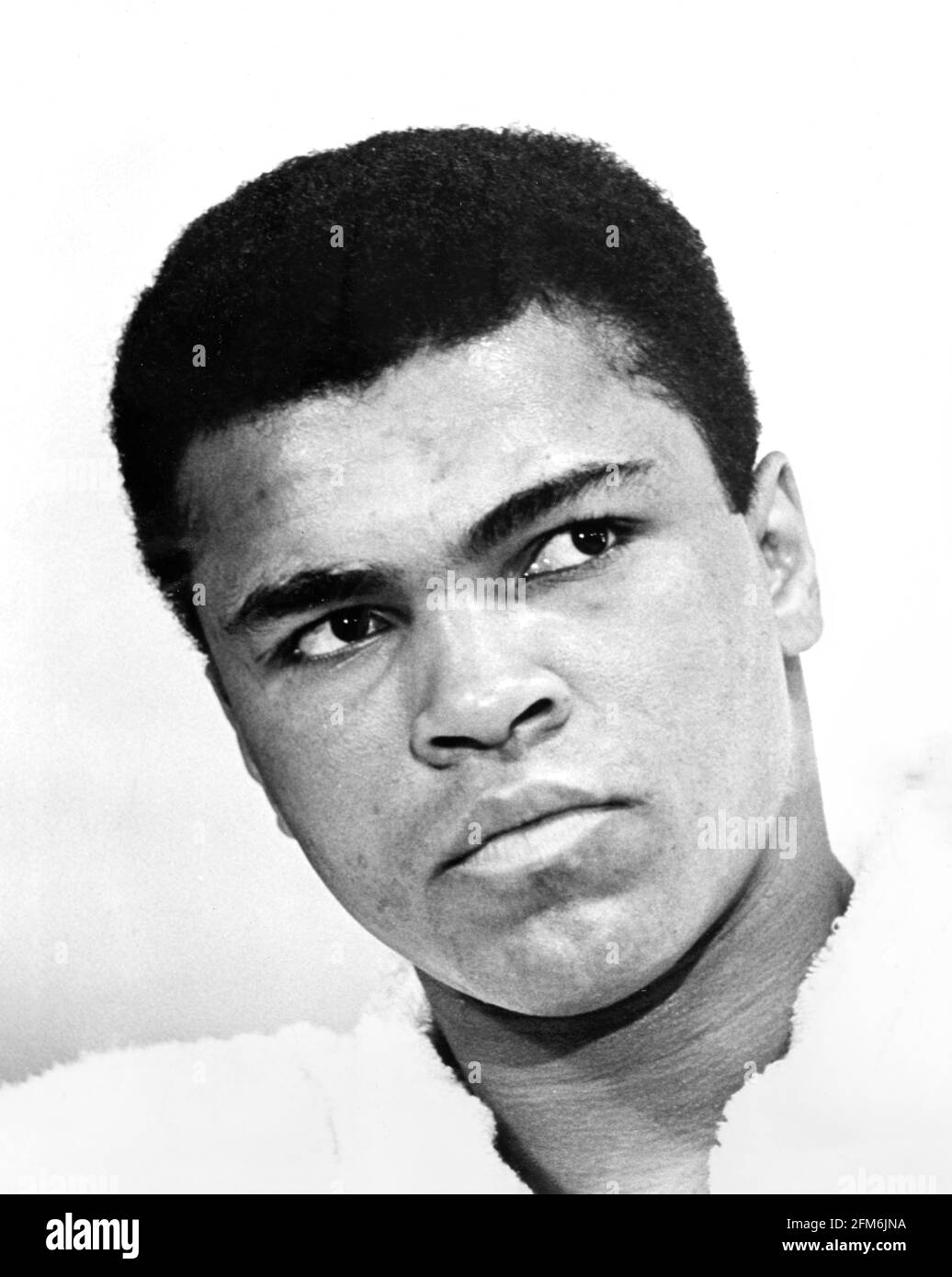 boxing legends portrait