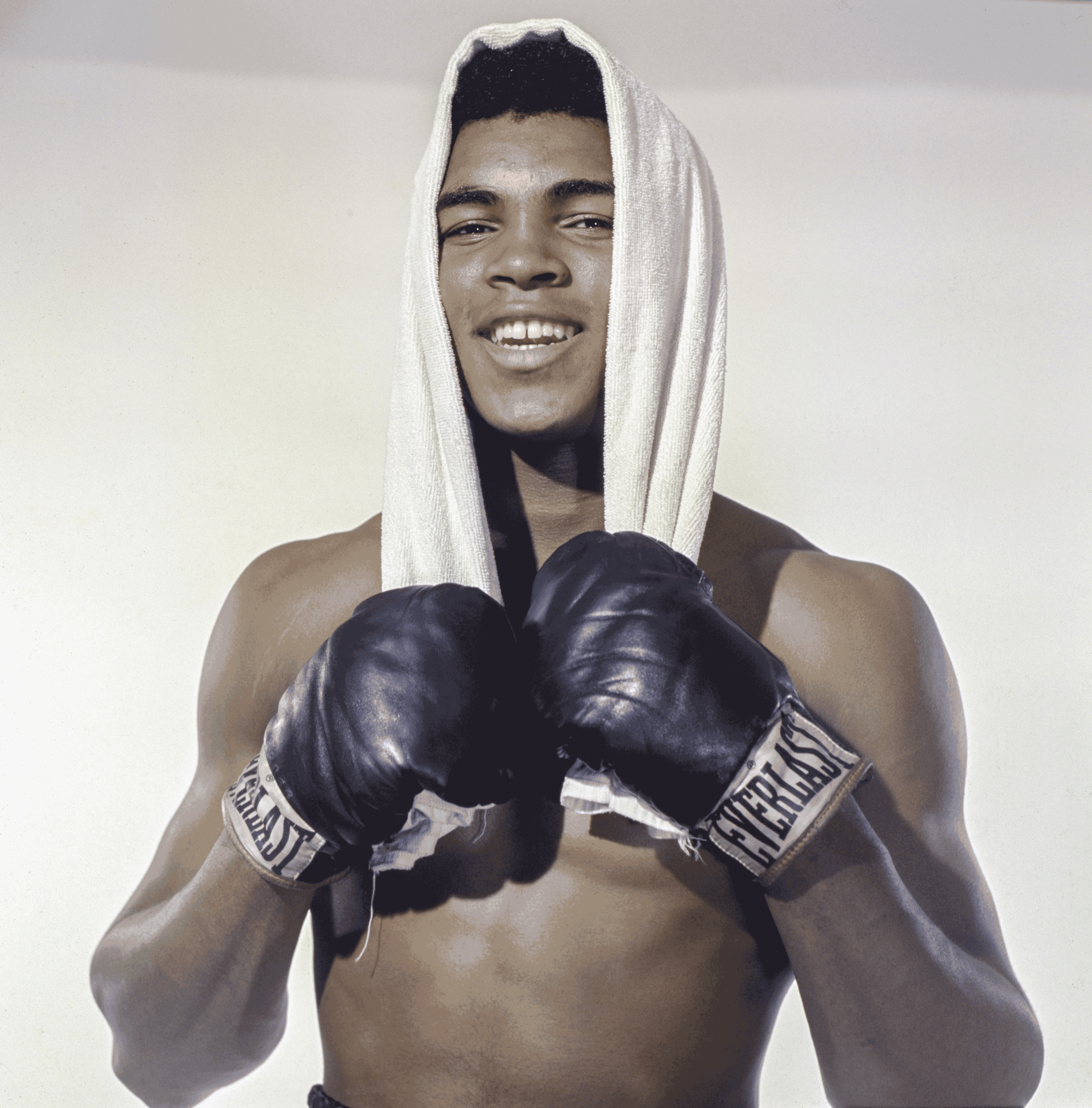 boxing pfps 0009
