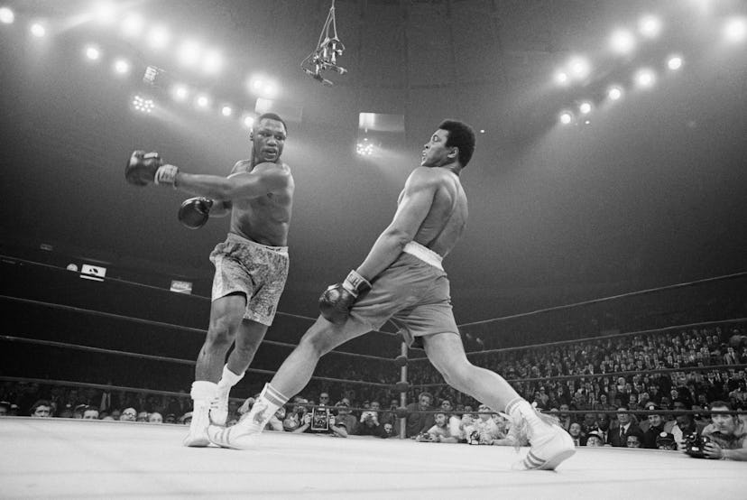 boxing photography 0024