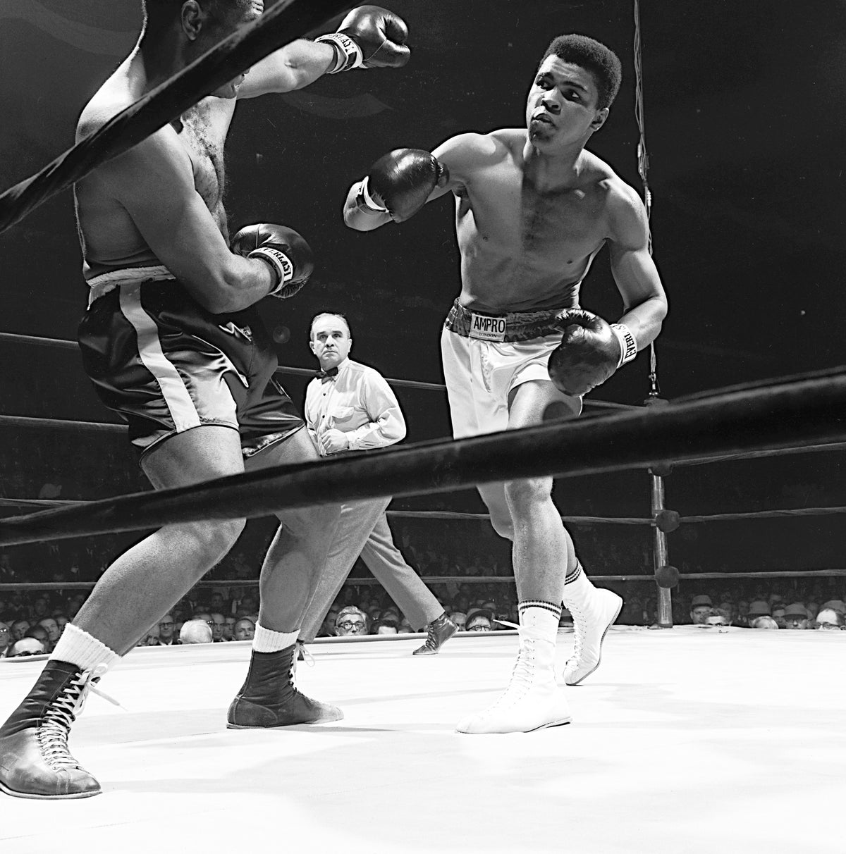 boxing portraits 0041