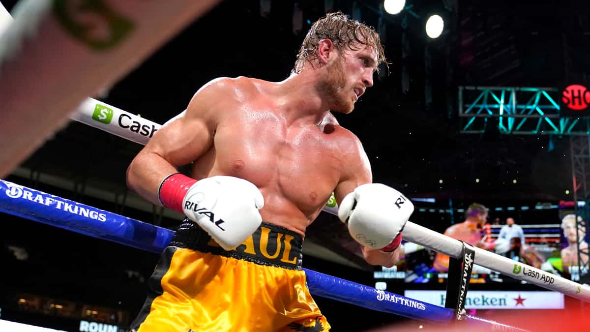 boxing profile picture 0017