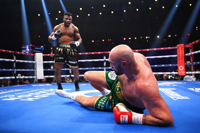 boxing profile picture 0044
