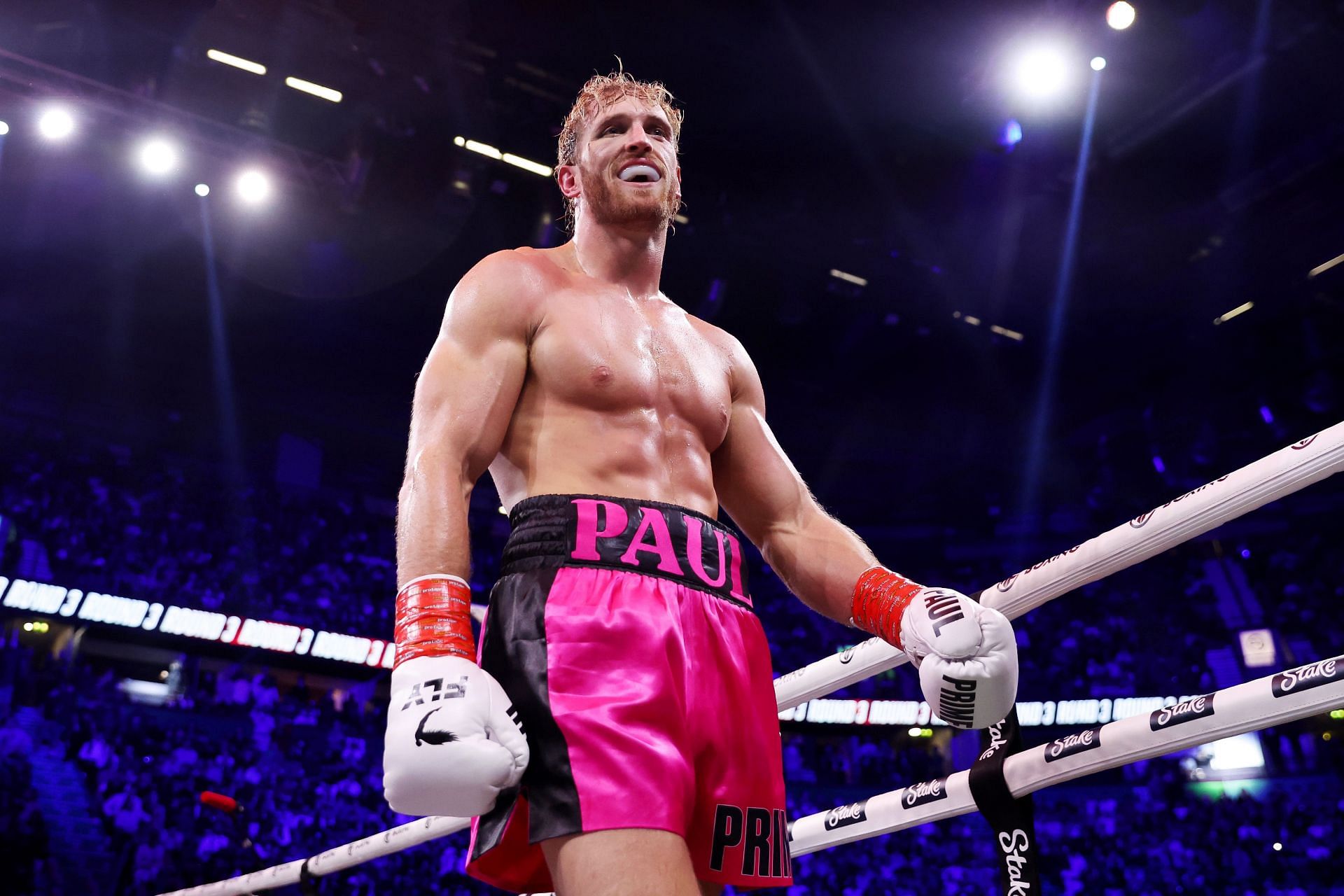 boxing profile picture 0047