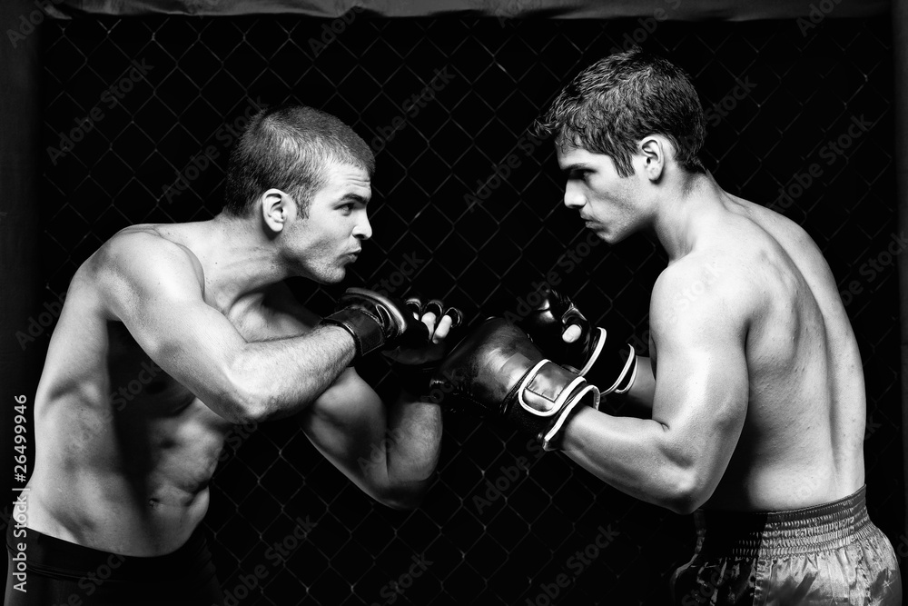 boxing ring aesthetics