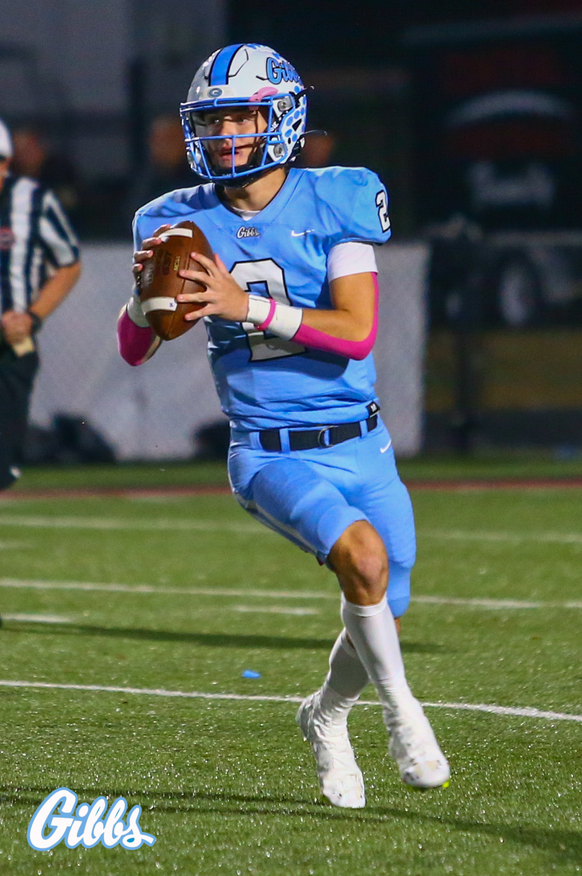 Bryson Palmer highlights