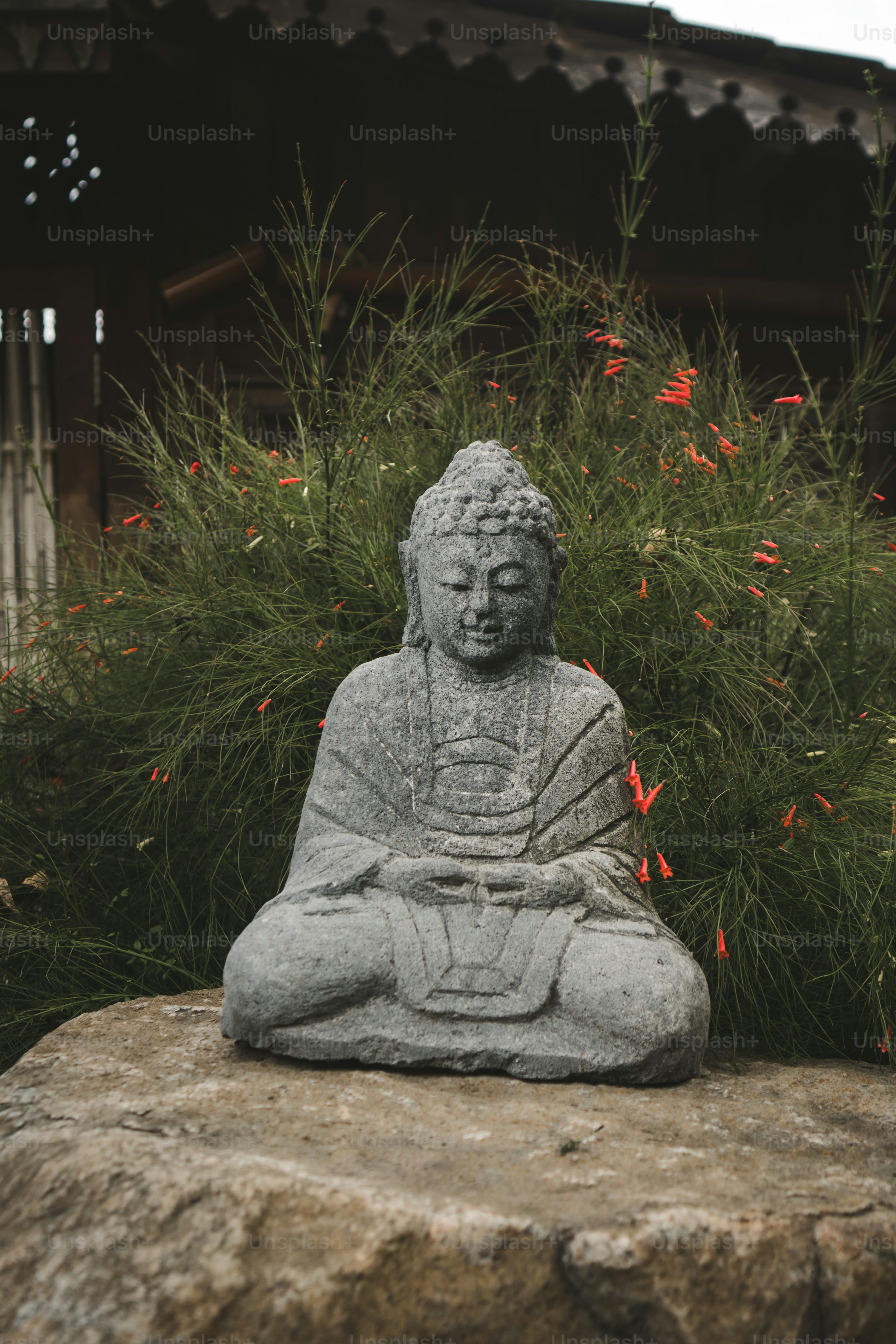 budda bing 0012