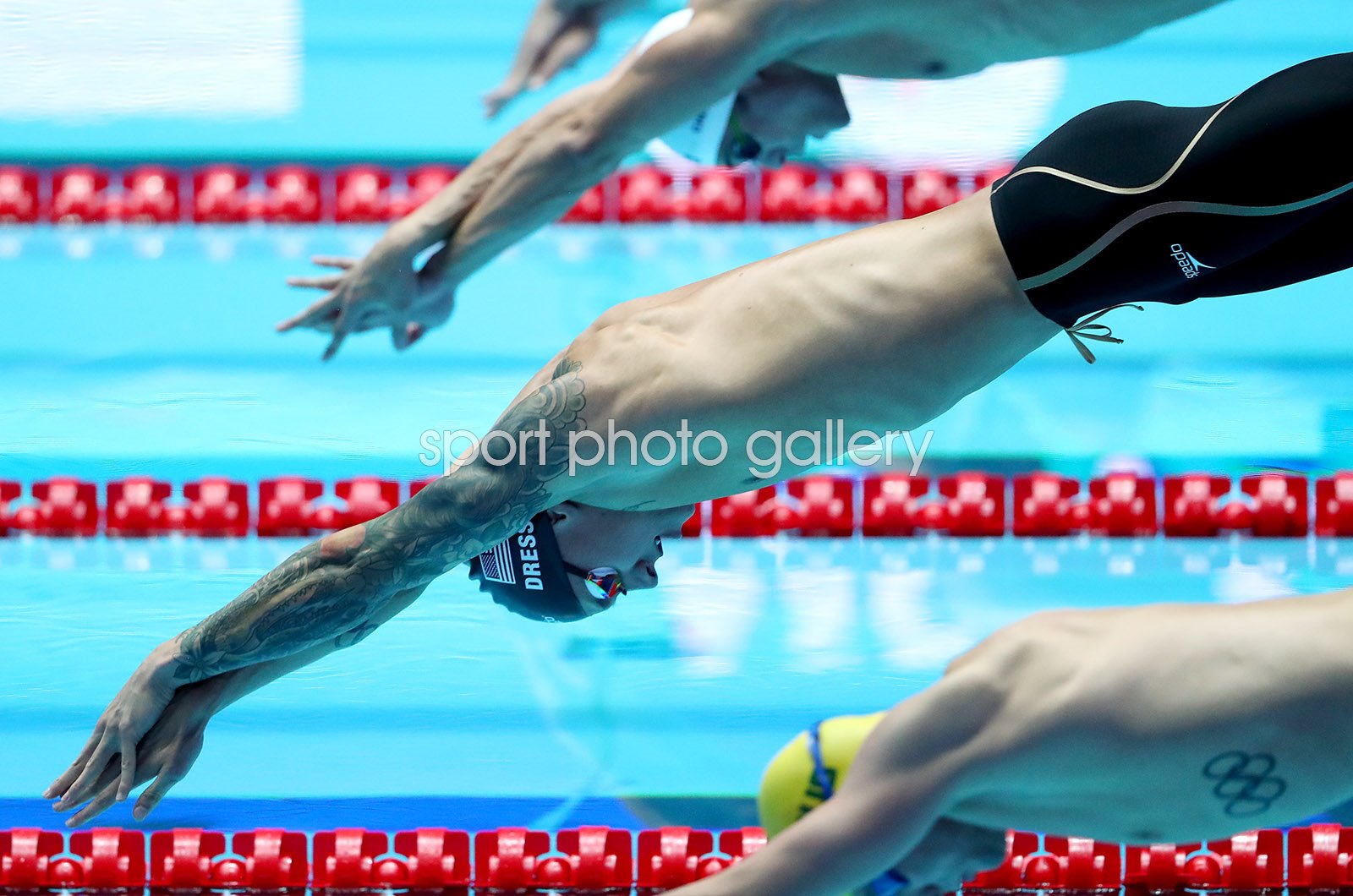 caeleb dressel start 0011