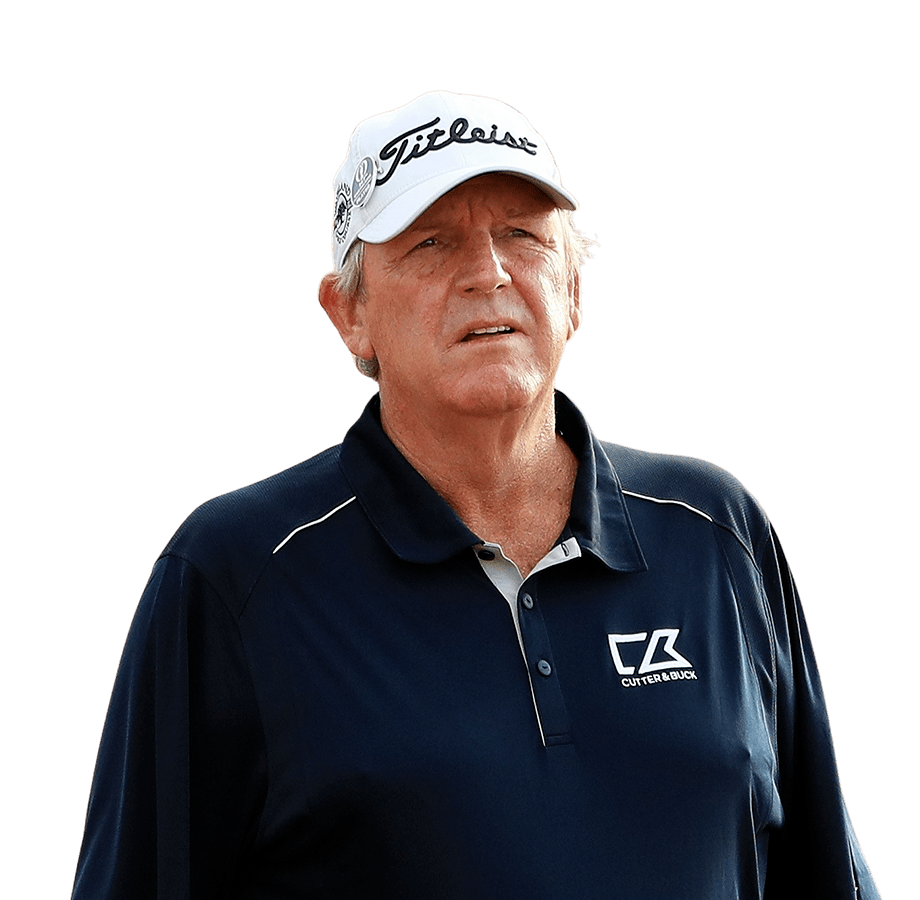Calcavecchia swinging tips