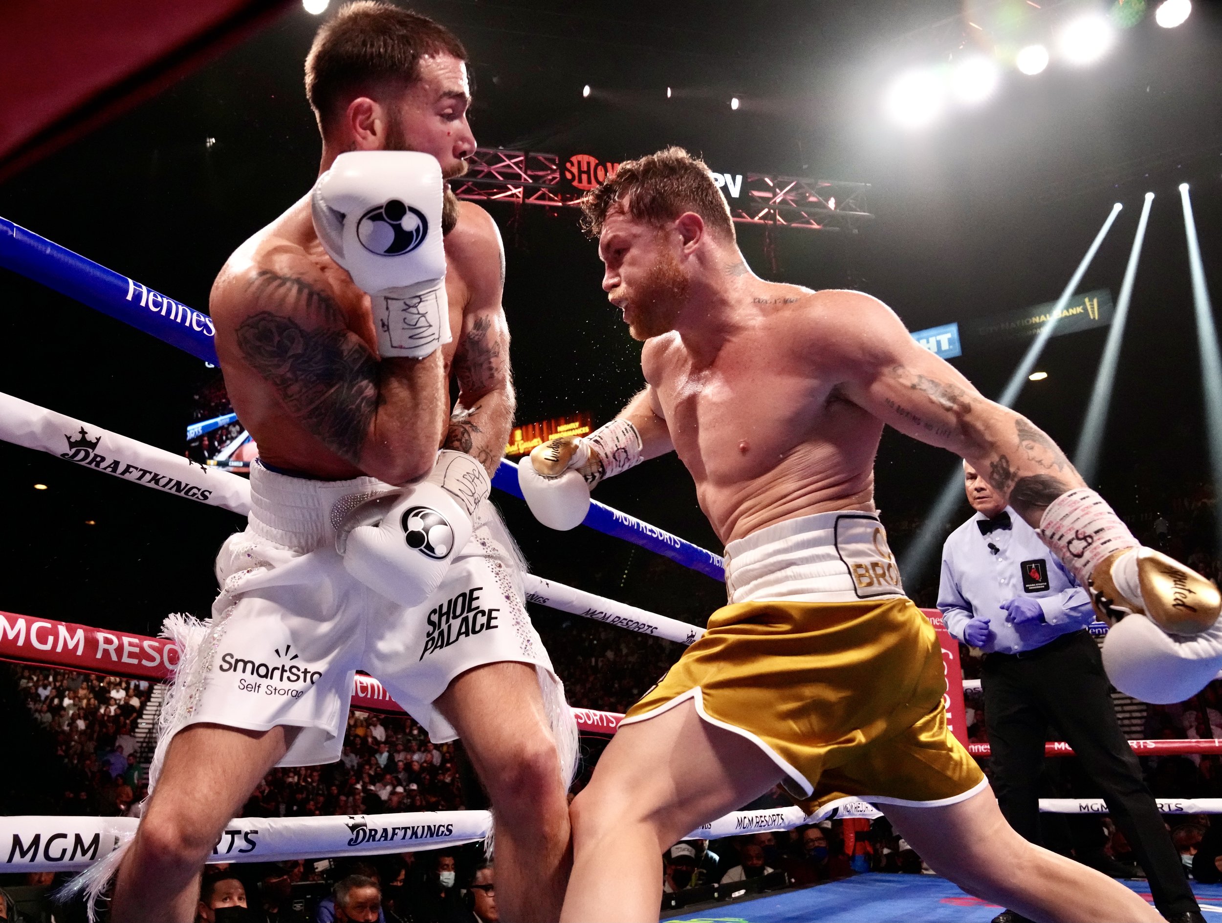caleb plant wallpaper 0020