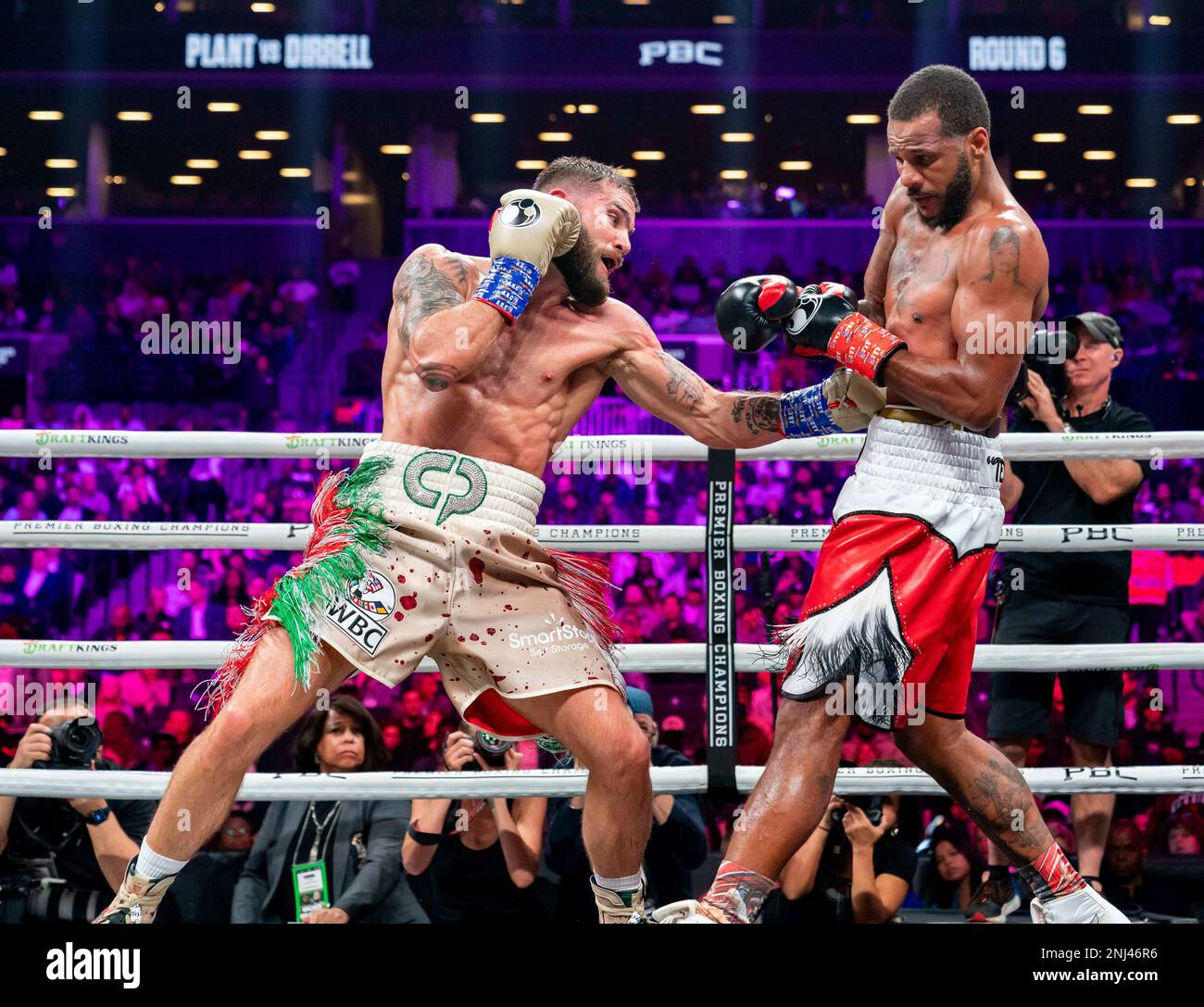 caleb plant wallpaper 0035