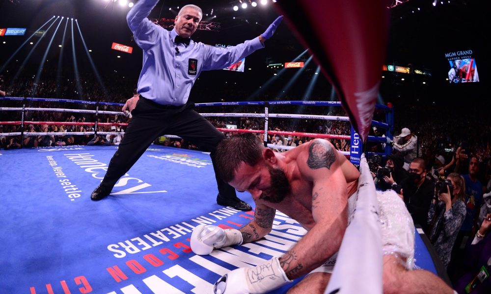 caleb plant wallpaper 0045