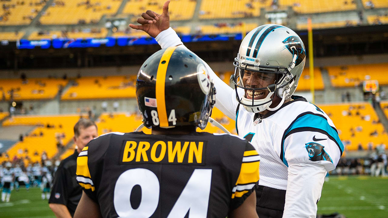 cam newton steelers 0040