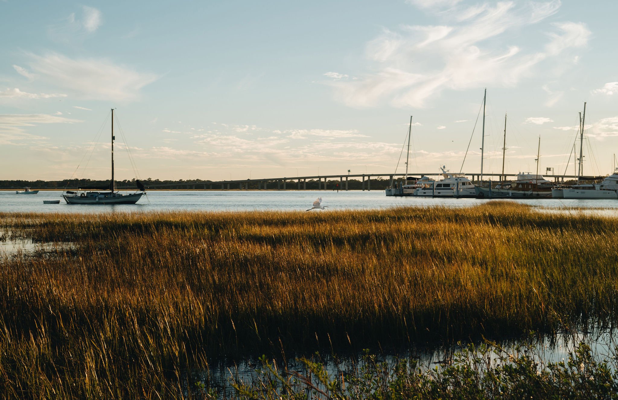 cameron wilder photography 0013