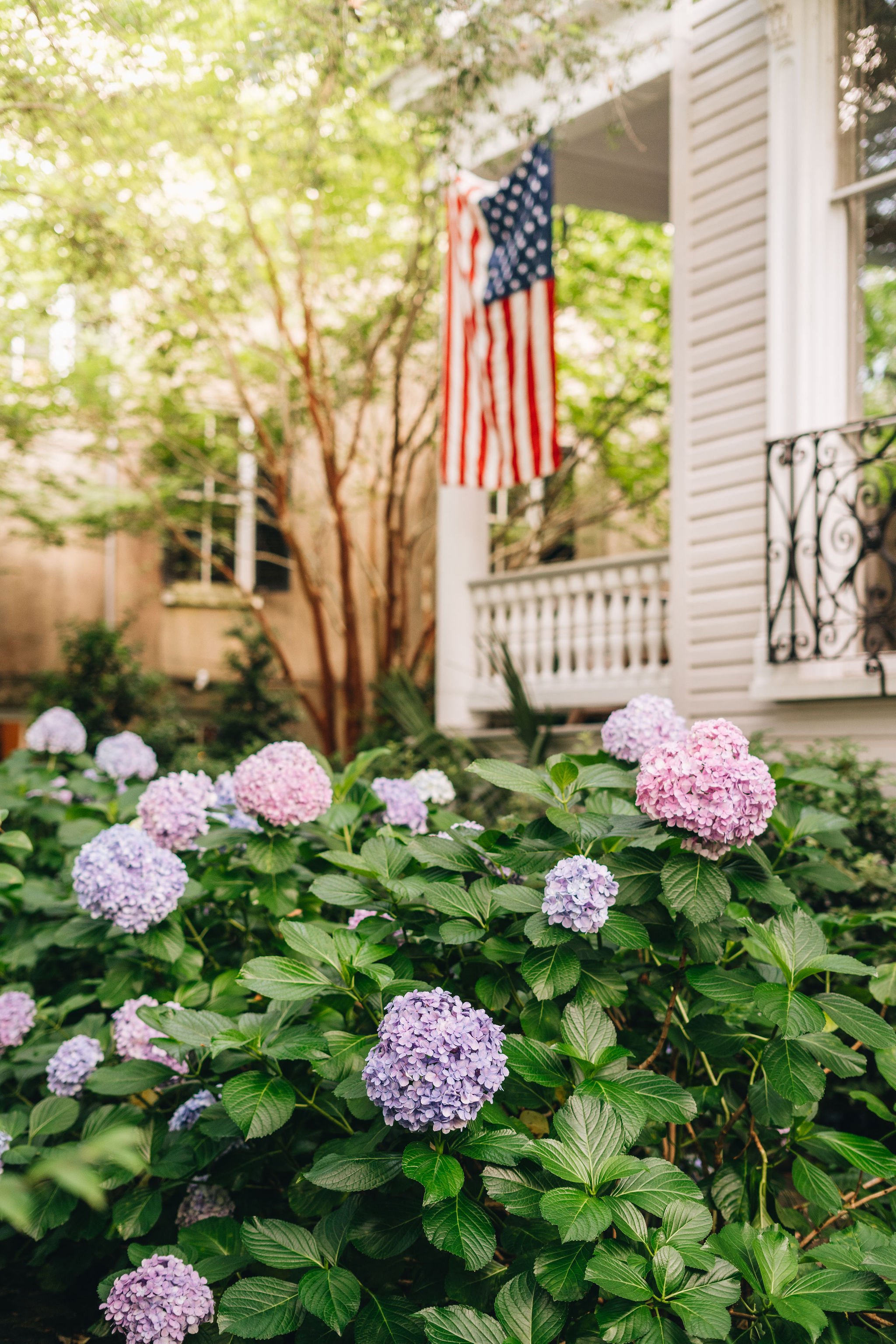 cameron wilder photography 0016