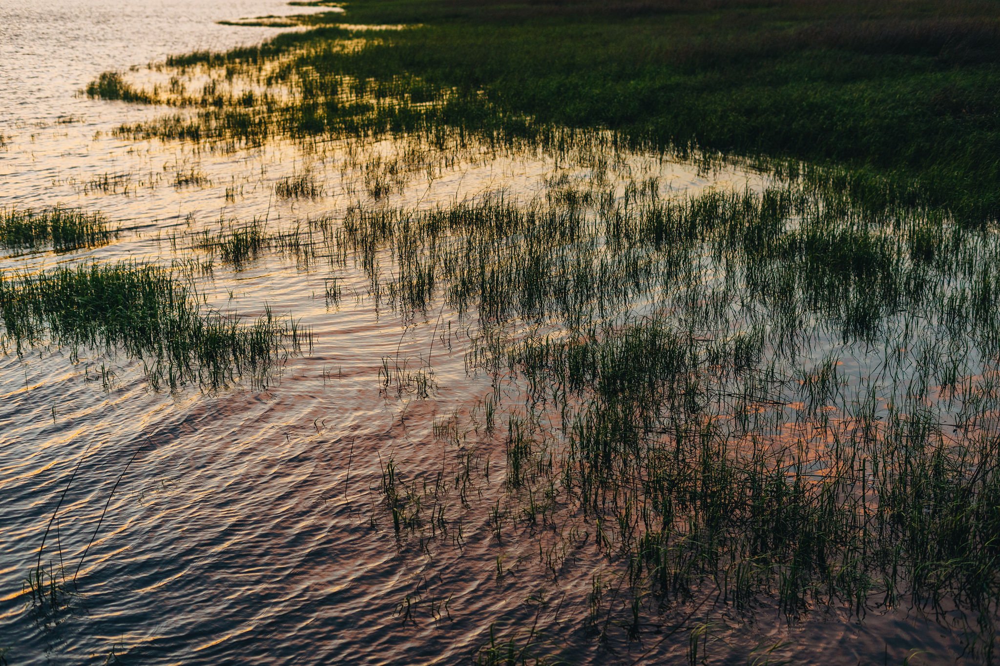cameron wilder photography 0043