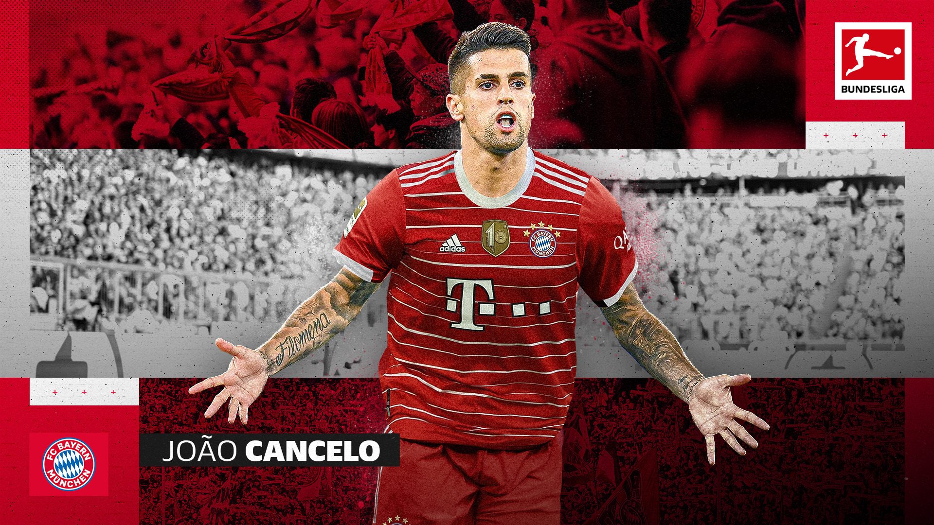 Cancelo photo 0032