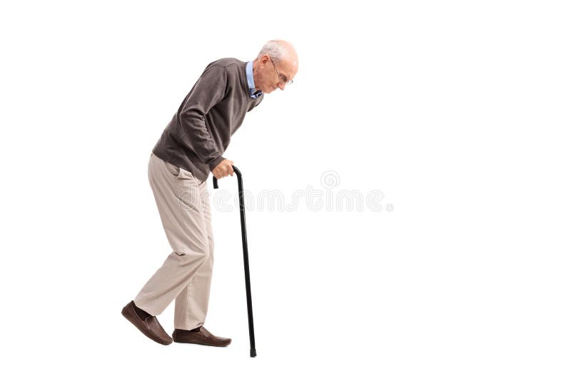 cane image 0038