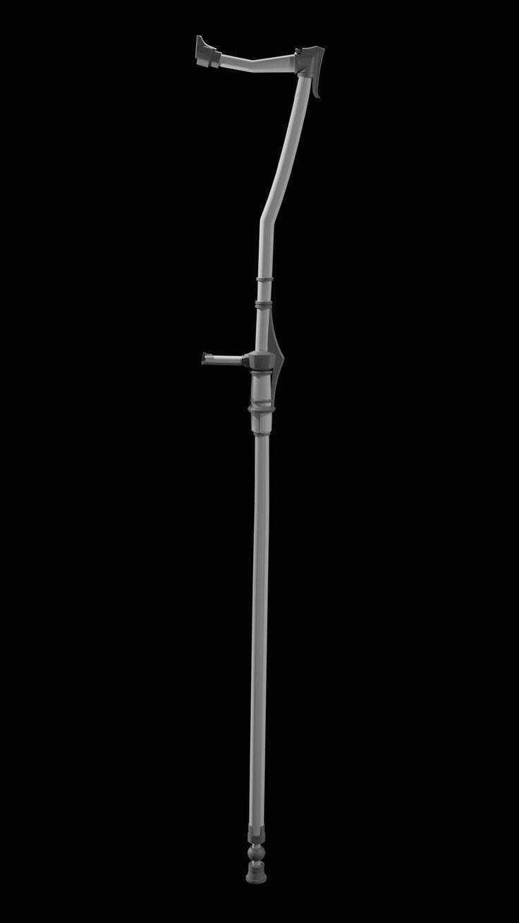 cane image 0042