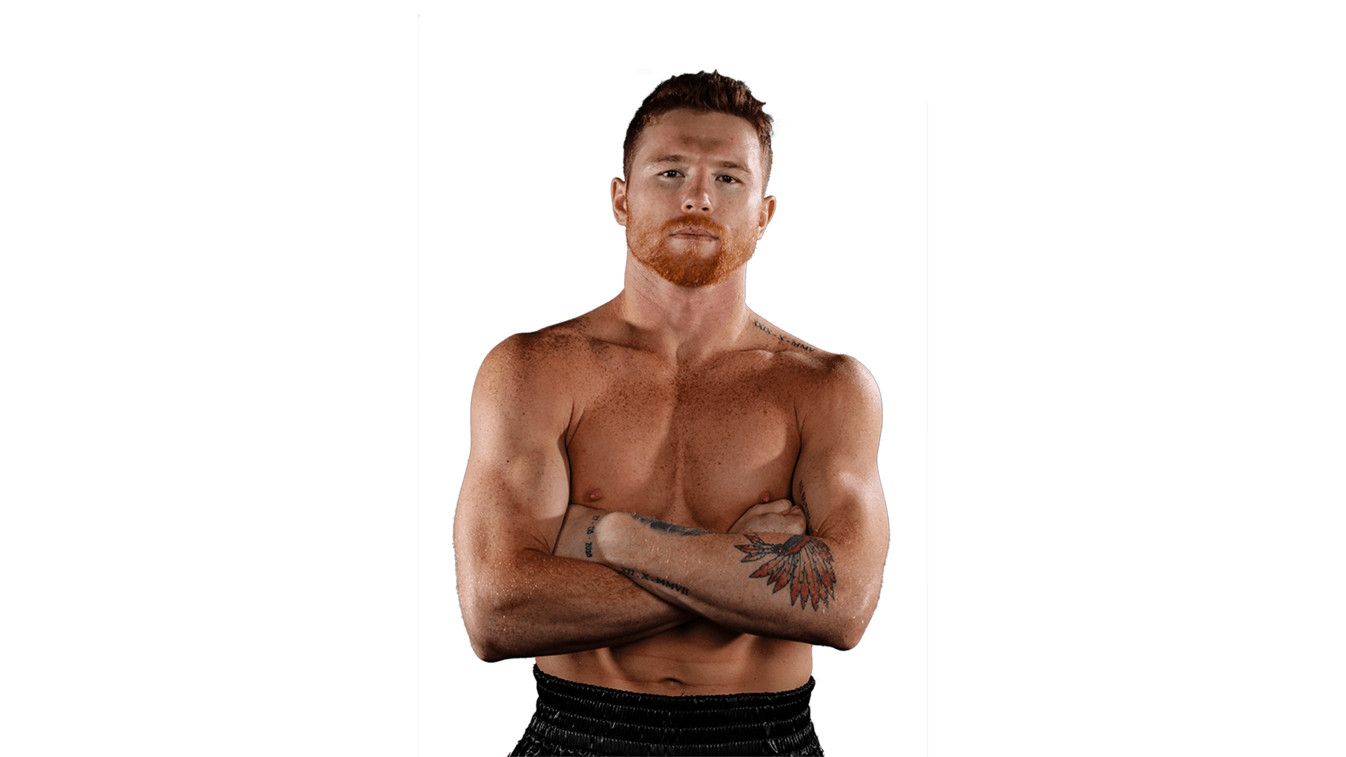 canelo vs ryder poster 0032