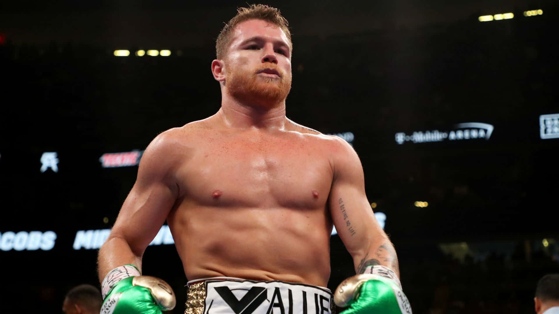 canelo vs ryder poster 0020