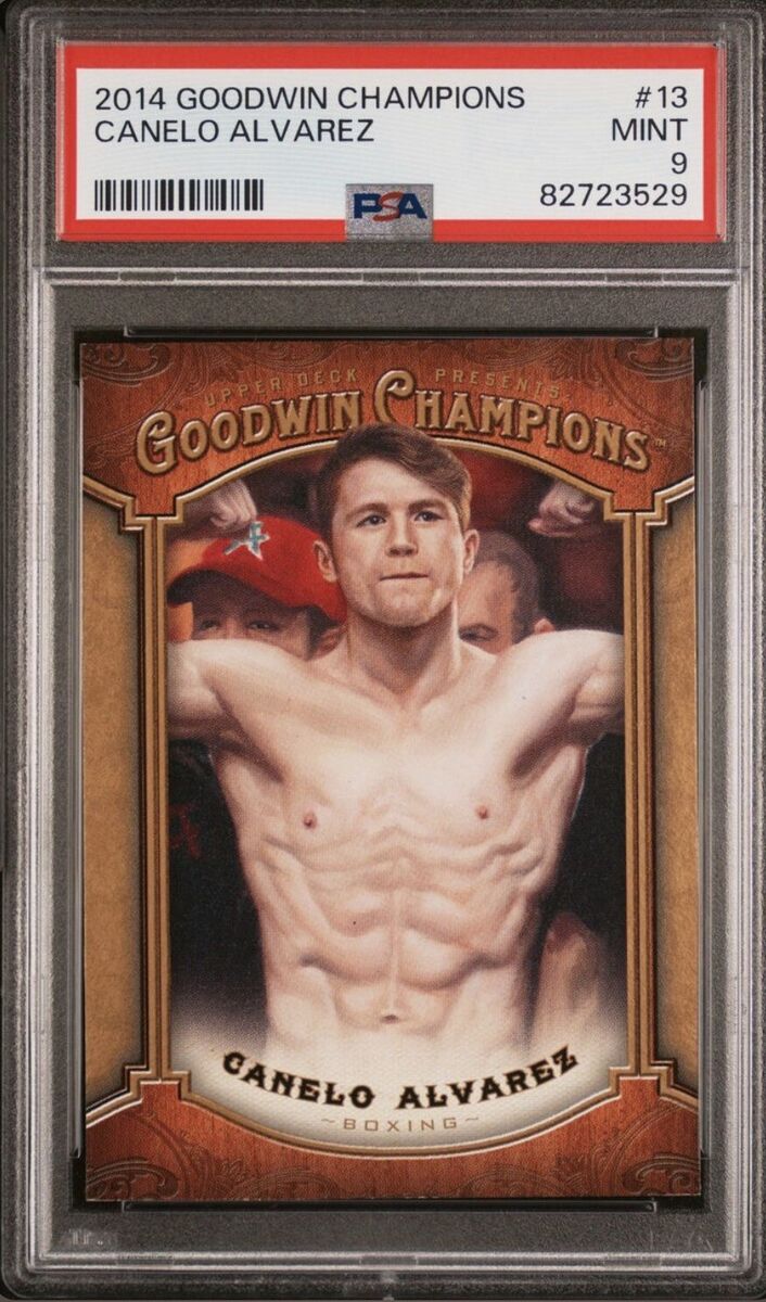 canelo vs ryder poster 0037
