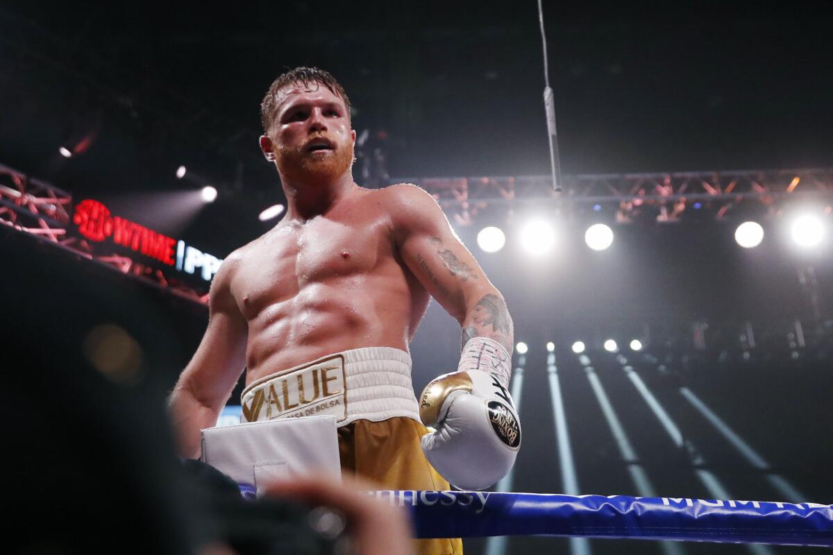 canelo vs ryder poster 0041