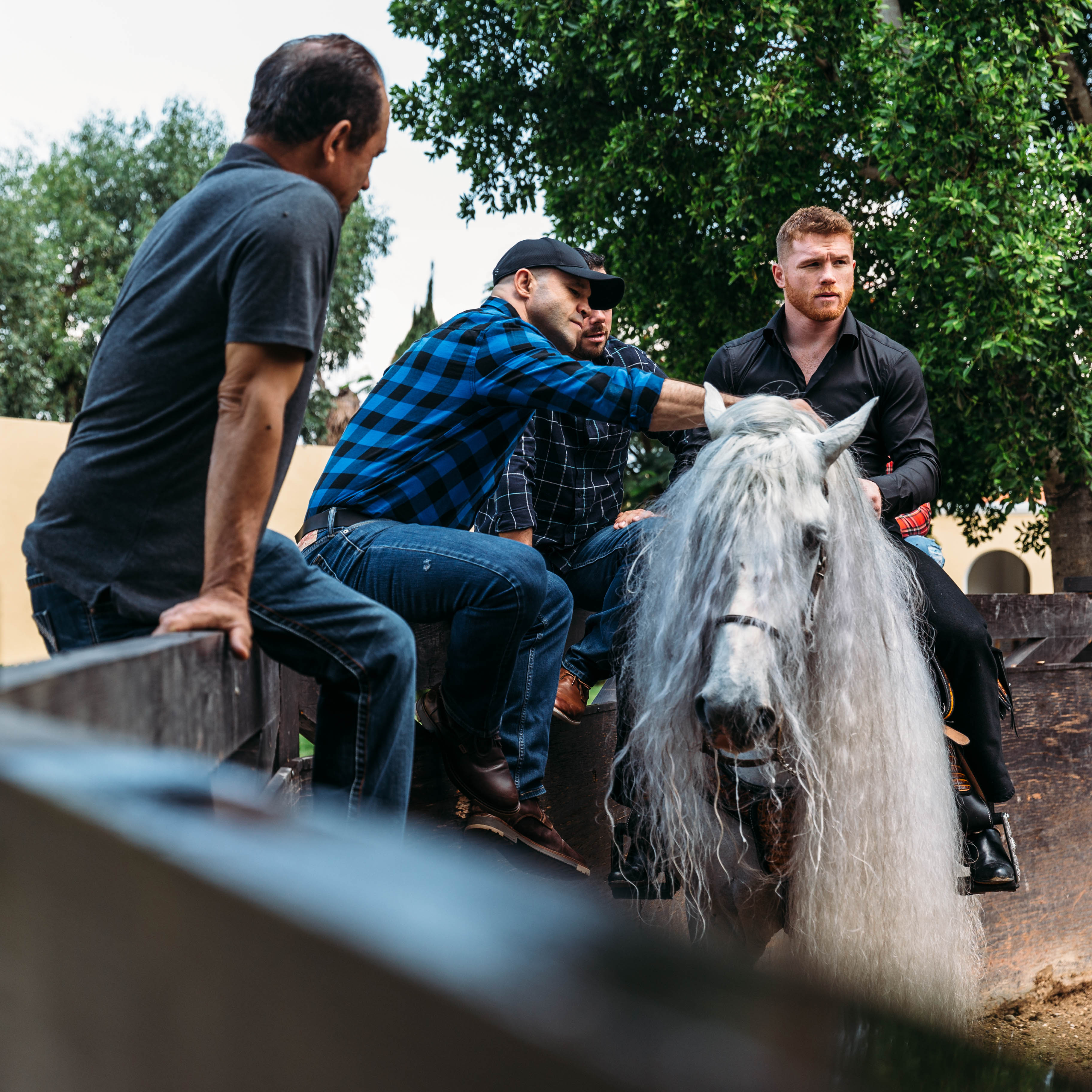 Canelo Alvarez stable