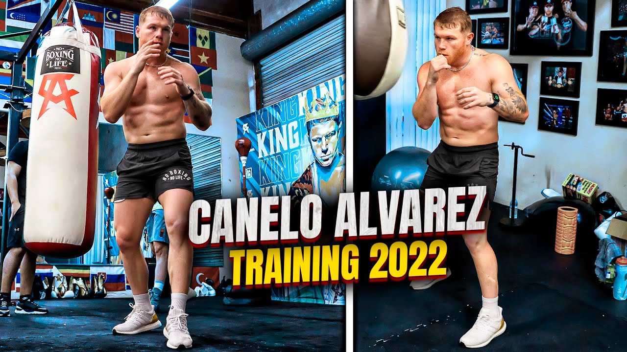 Canelo Alvarez stats