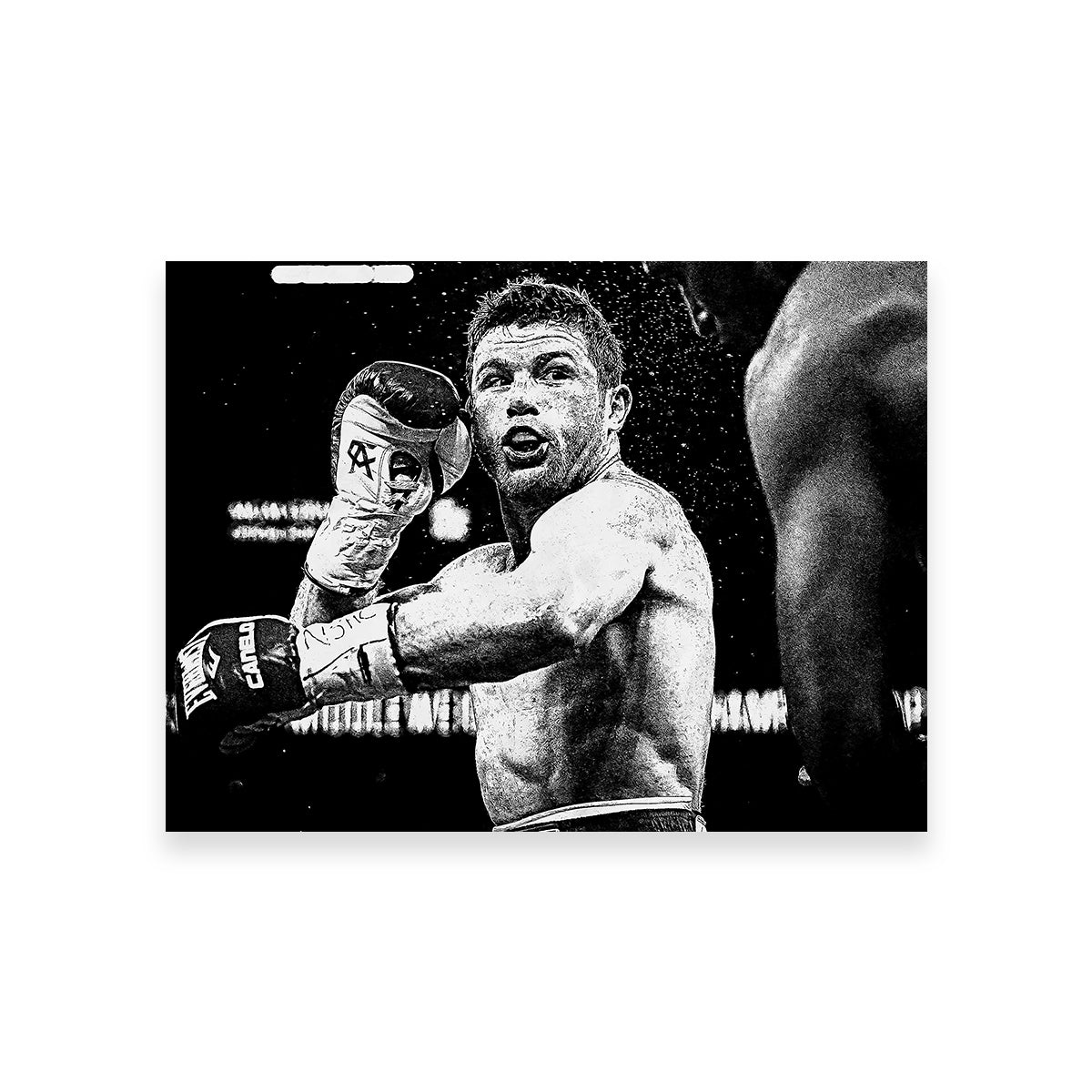 canelo art 0032