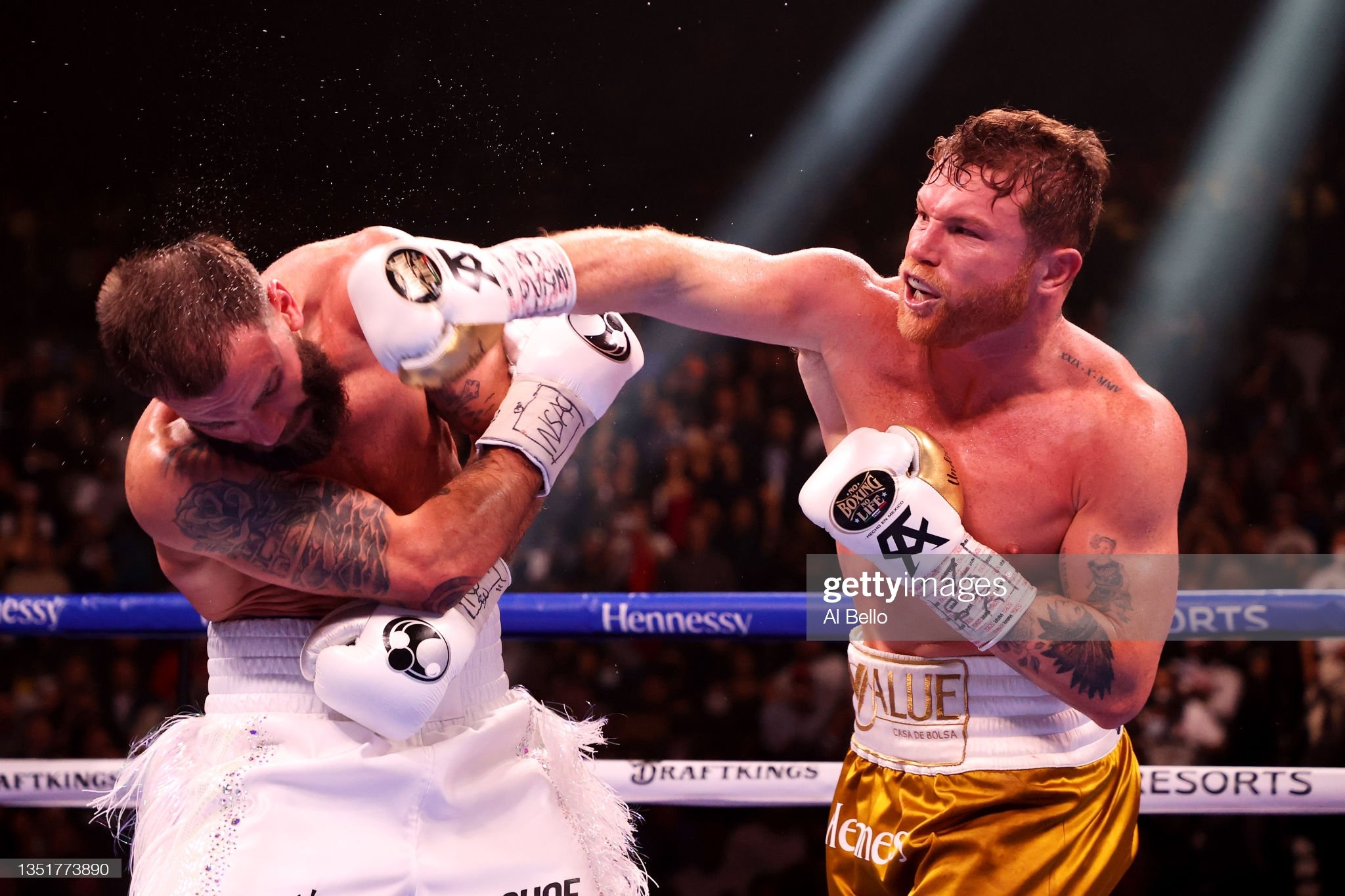 canelo art 0043