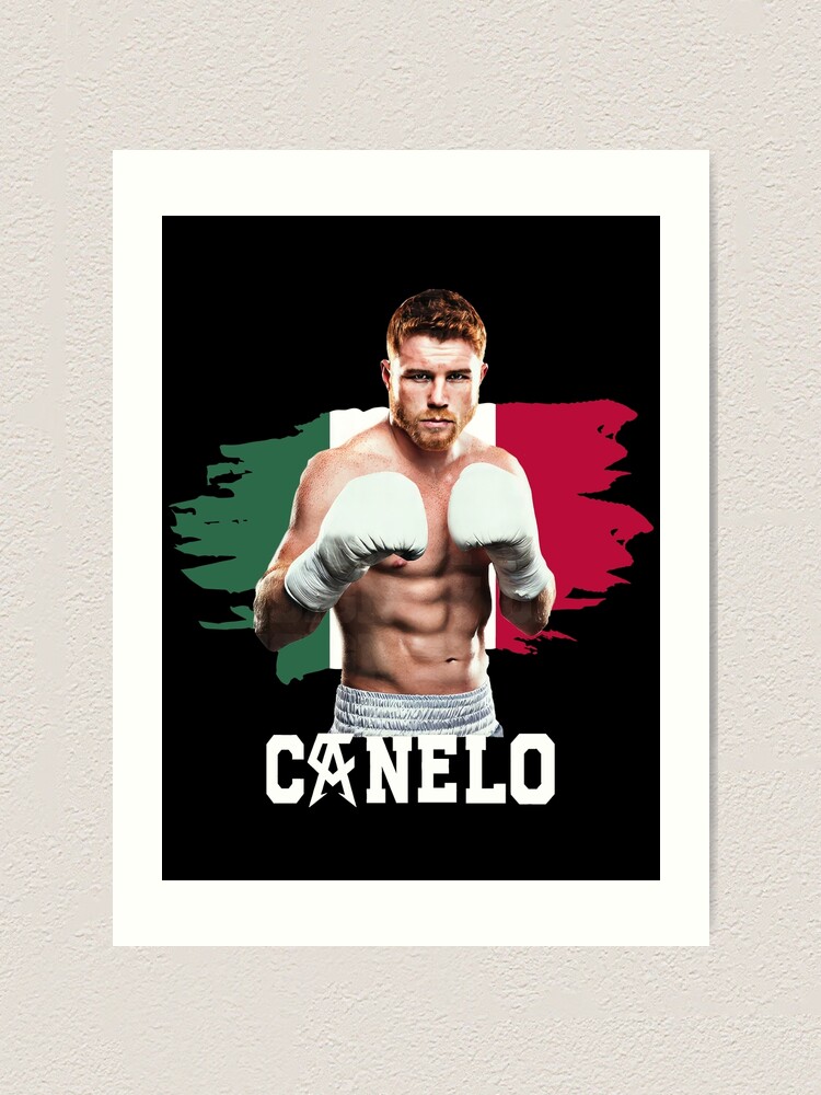 canelo art 0049